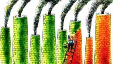 Socialisme et écologie